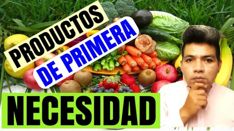 Descubre cuáles son los alimentos de primera necesidad que no pueden
